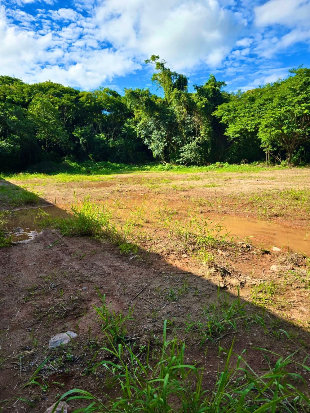 Terreno - Venda - Nova Olinda - Piedade - SP