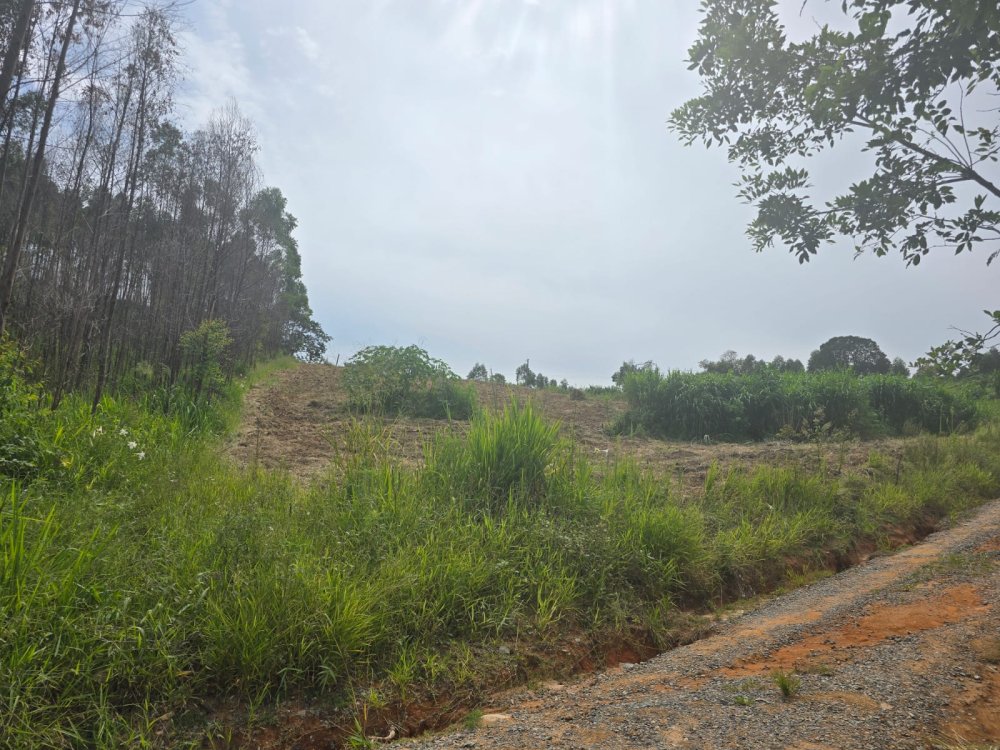 Terreno - Venda - Godinhos - Piedade - SP